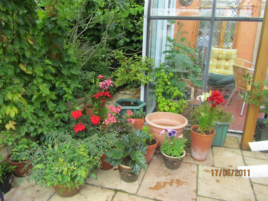 The Old Cider House Bed & Breakfast Nether Stowey Eksteriør bilde